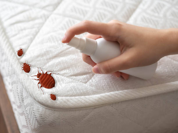 Best Residential Pest Control  in Palm City, FL